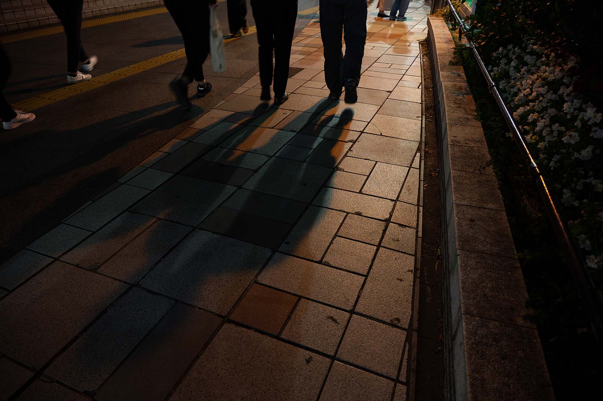 名駅歩く人の影